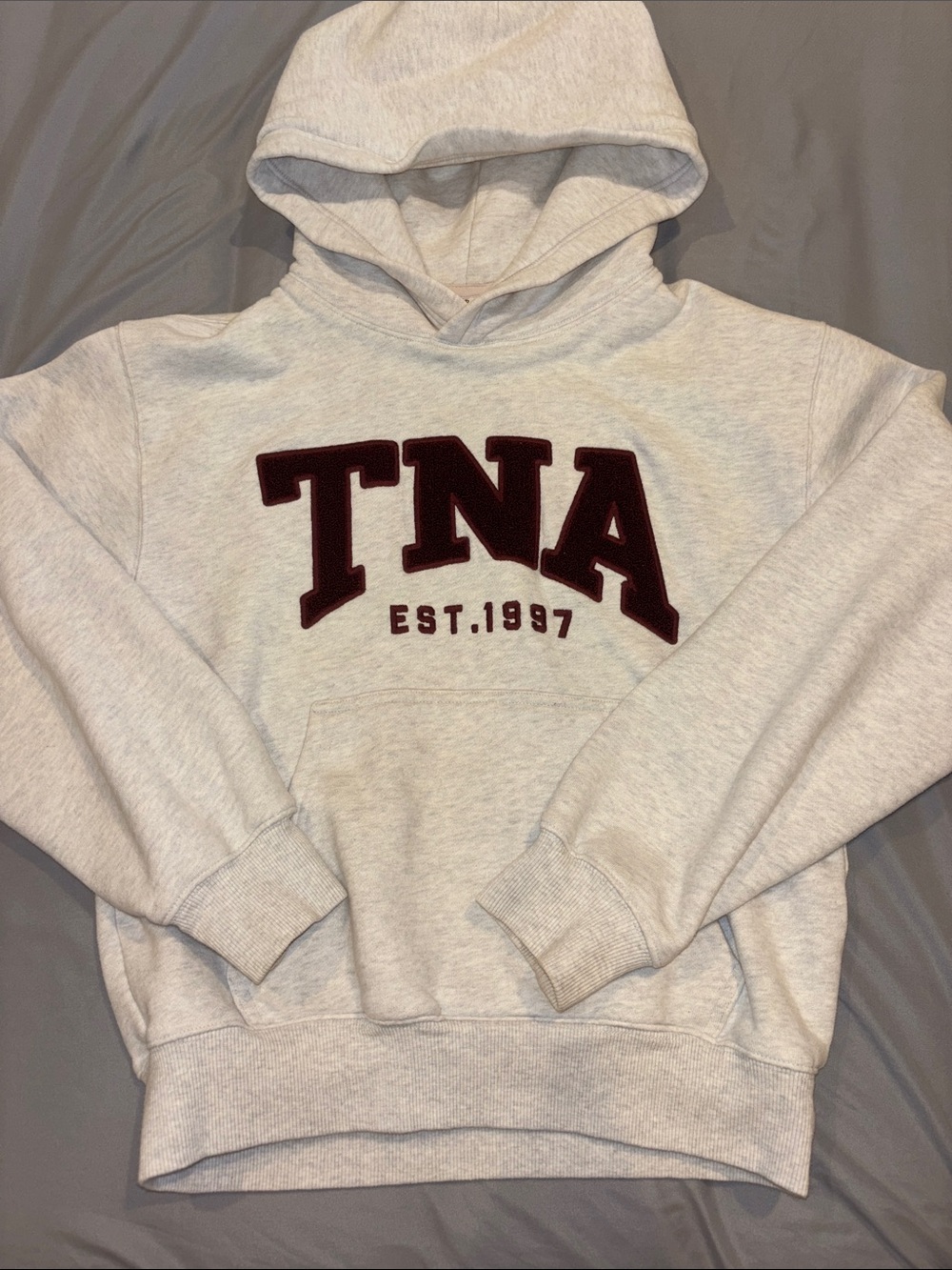 Aritzia Light Gray Hoodie with Burgundy TNA Appliqué